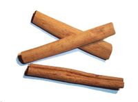 200px-Cinnamomum_verum.jpg