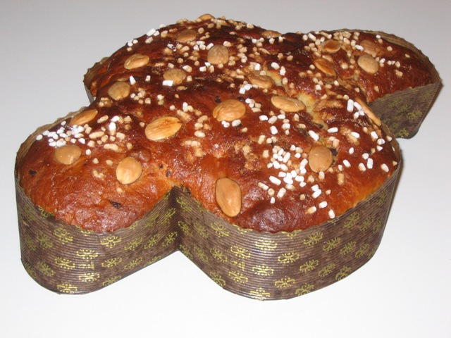 colomba 001.jpg