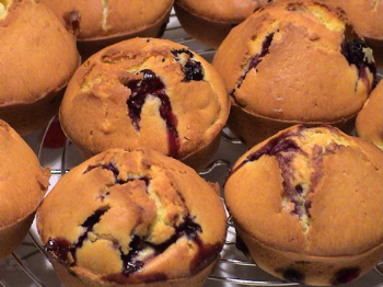 Muffin mirtilli.png