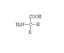 aminoacido.jpg